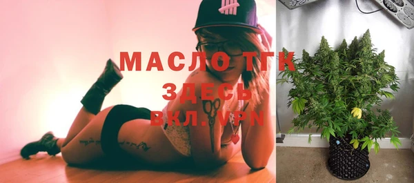 прущие грибы Чекалин